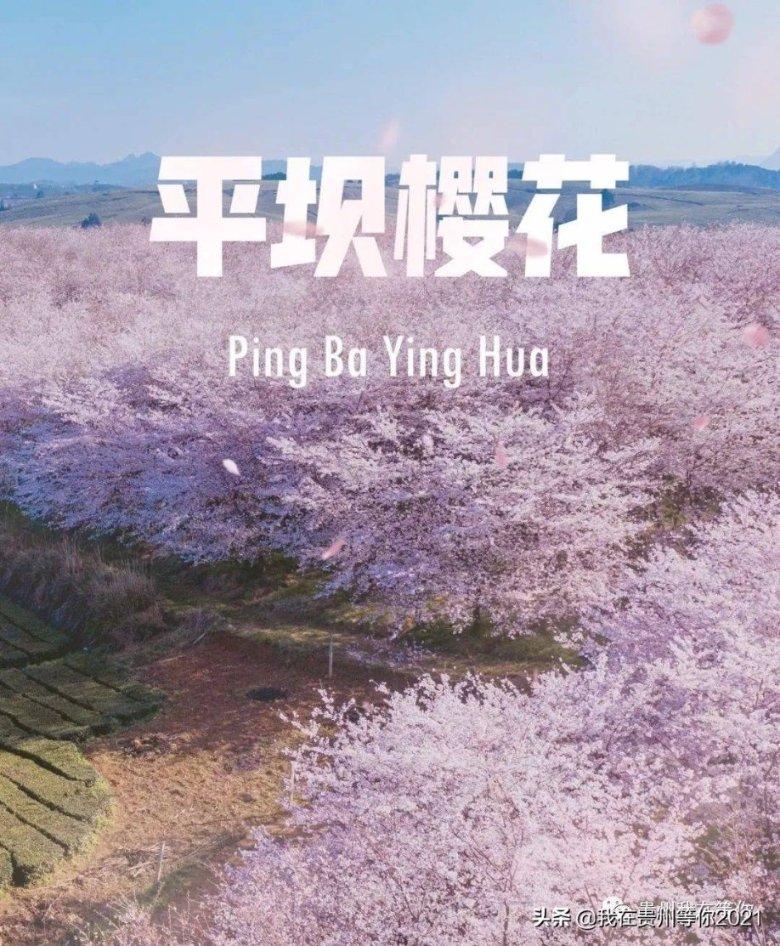 新一批248个全国民族团结进步示范区示范单位公布